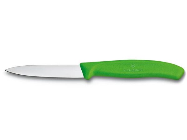 Gemüsemesser Swiss Classic 8cm mit Spitzklinge und grünem Griff