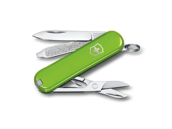 Kleines Taschenmesser Classic SD Smashed Avocado grün