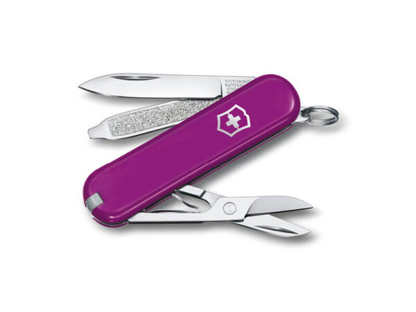 Kleines Taschenmesser Classic SD Tasty Grape violett