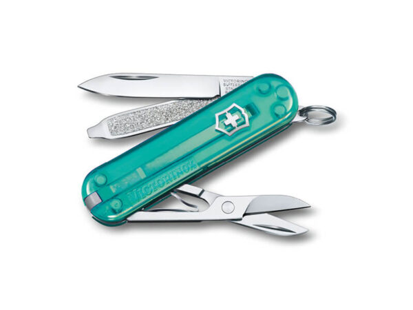 Kleines Taschenmesser Classic SD Tropical Surf mint transparent