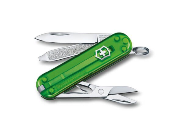 Kleines Taschenmesser Classic SD Green Tea grün transparent